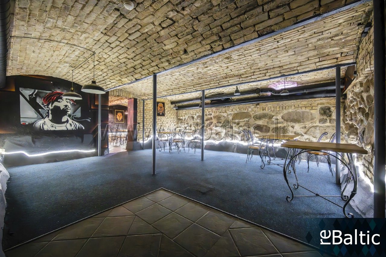 Nuomojamos patalpos T. Ševčenkos g., Naujamiestis